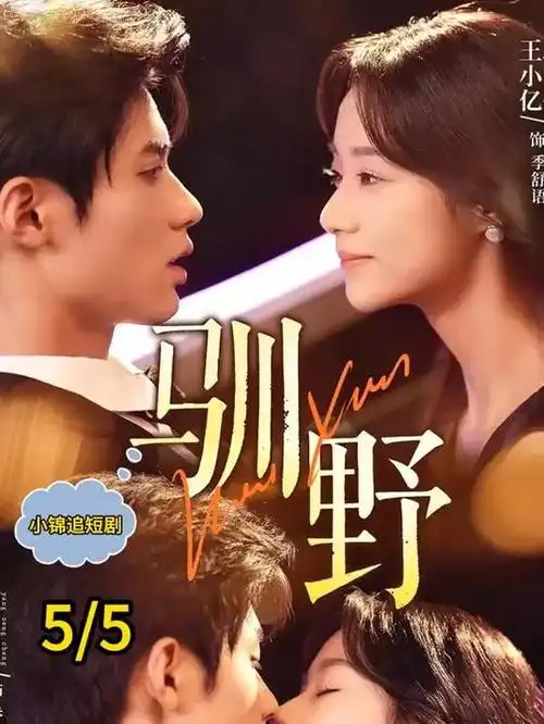 极地纪录片极地守夜人手机免费在线观看